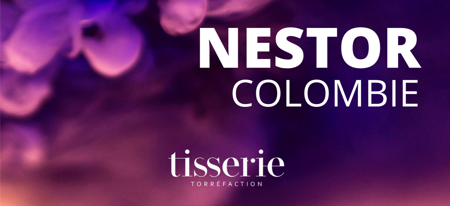 Nestor - Colombie - Microlot