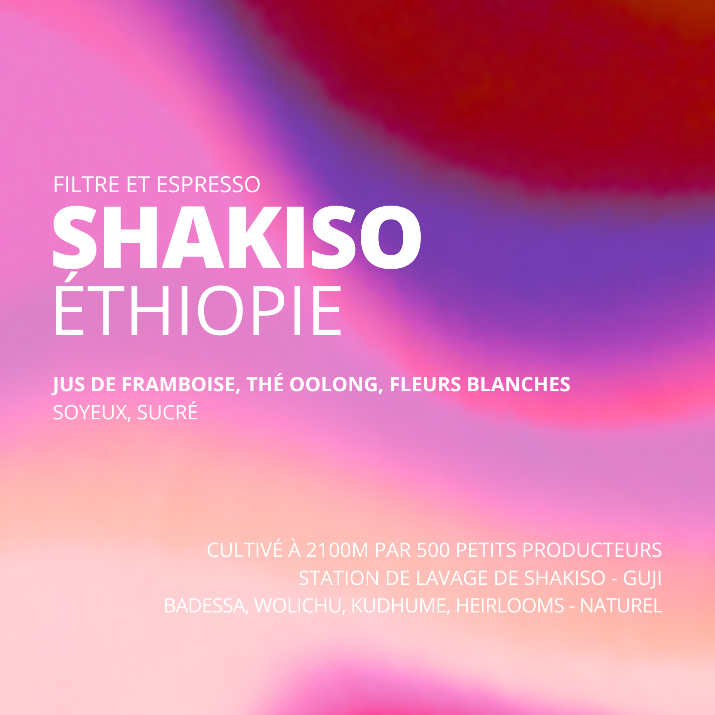 Shakiso - Éthiopie