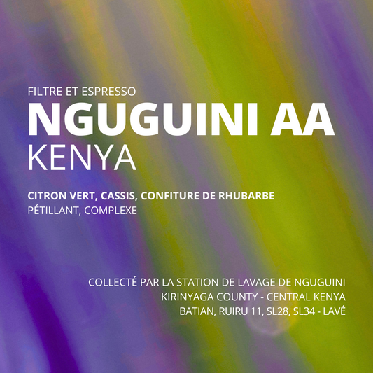 Nguguini AA - Kenya