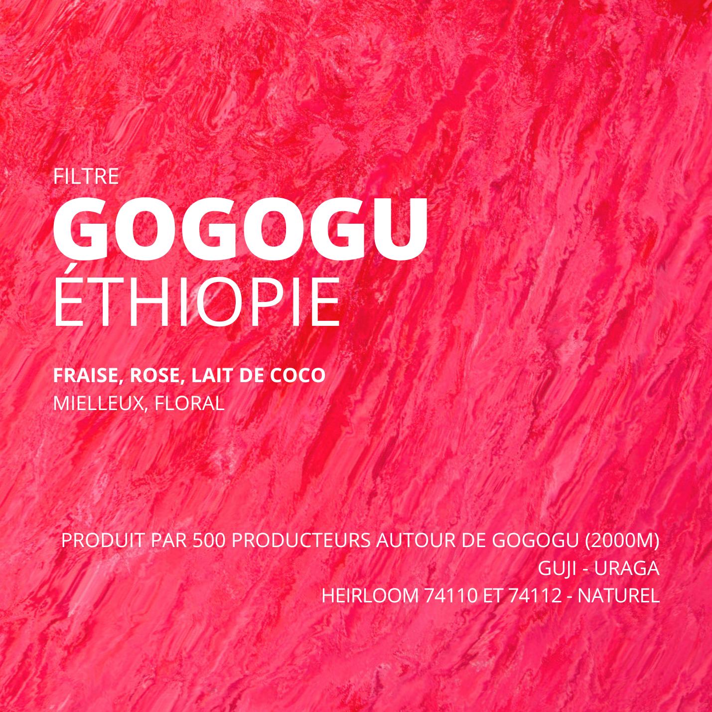Gogogu - Éthiopie