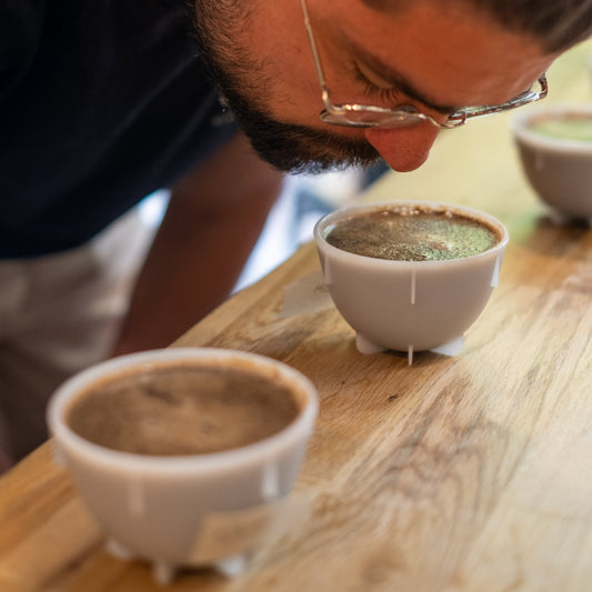 Atelier "Dégustation (cupping) : saveurs et arômes du café de spécialité"