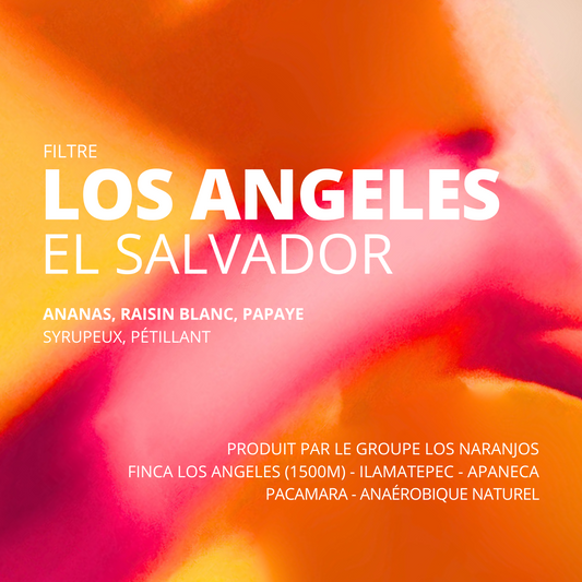 Los Angeles - El Salvador