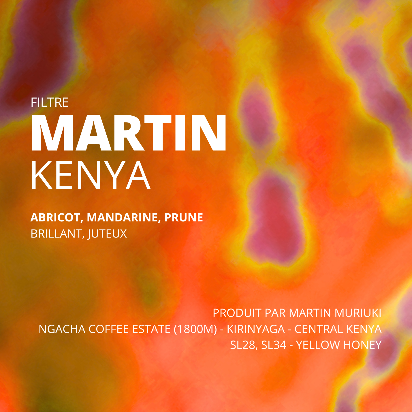 Martin - Kenya